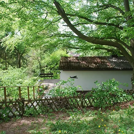 Ferienhaus Waldeck Ober Werbe *