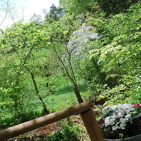 Hébergement de vacances Ferienhaus Waldeck Ober Werbe